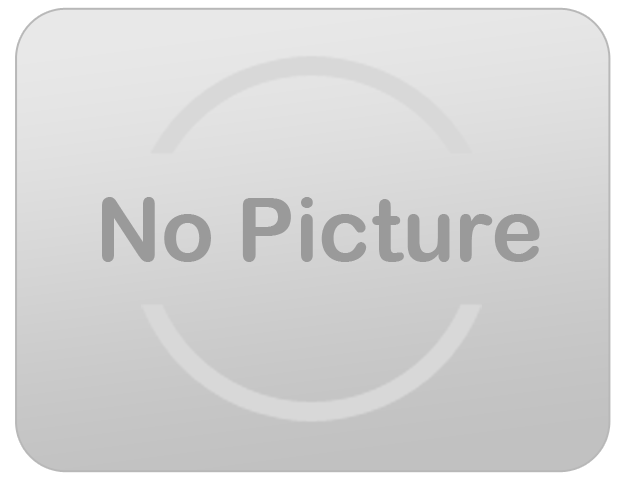 /disney-princess-castle-bounce-house/